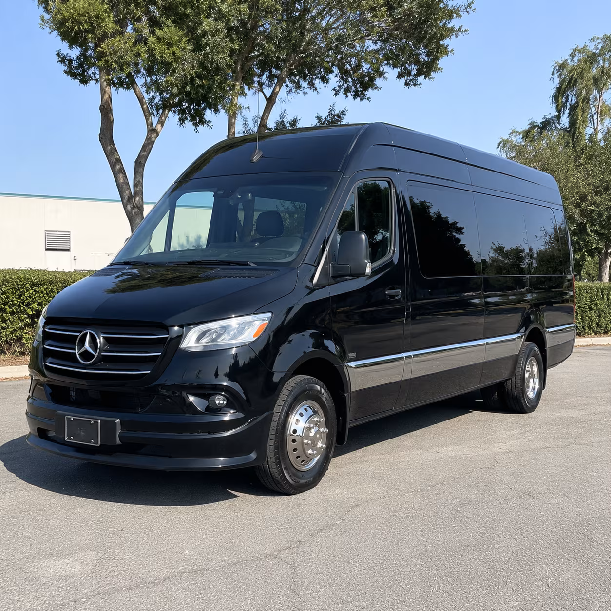 brick sprinter van with driver